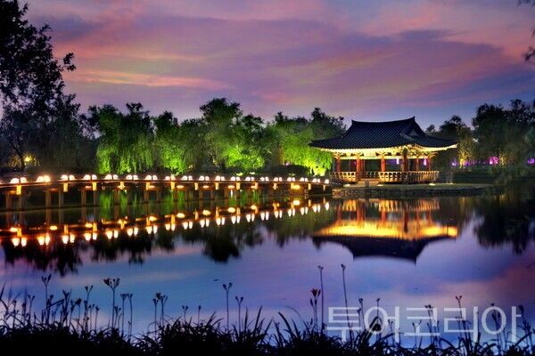 ▲궁남지 야경 모습. /사진-부여군