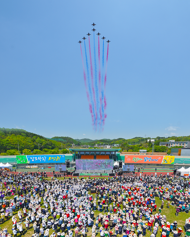 지난 제48회 보성다향대축제 개막식 블랙이글스 공연 모습. /사진-보성군
