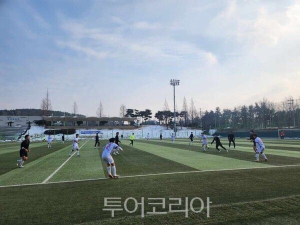 자료사진. /사진-영광군