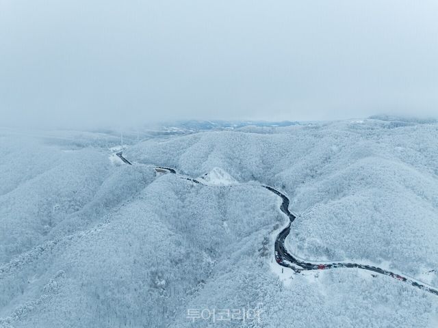 고원 설경/사진-강릉시