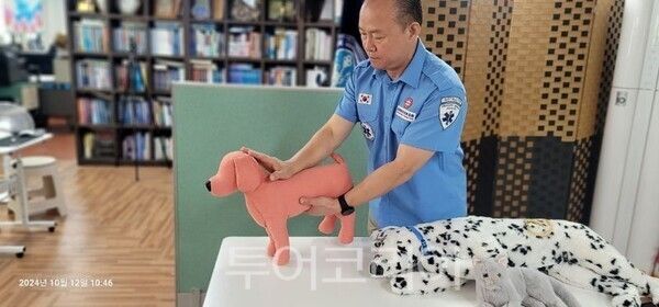 반려동물 응급처치/투어코리아뉴스 정명달 기자