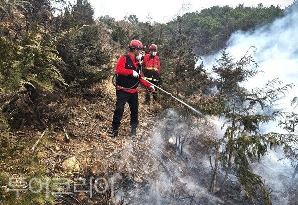 ▲산불 진화 활동 모습. /사진-부여군