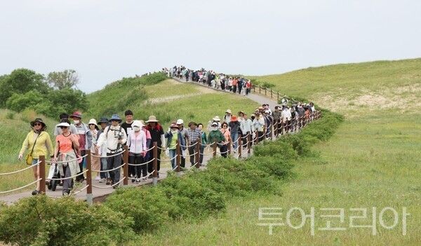 ▲신두리 해안 사구 모습. /사진-태안군