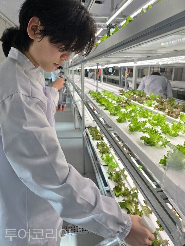 ▲스마트농업 식물공장에서의 실습 모습. /사진-국립공주대학