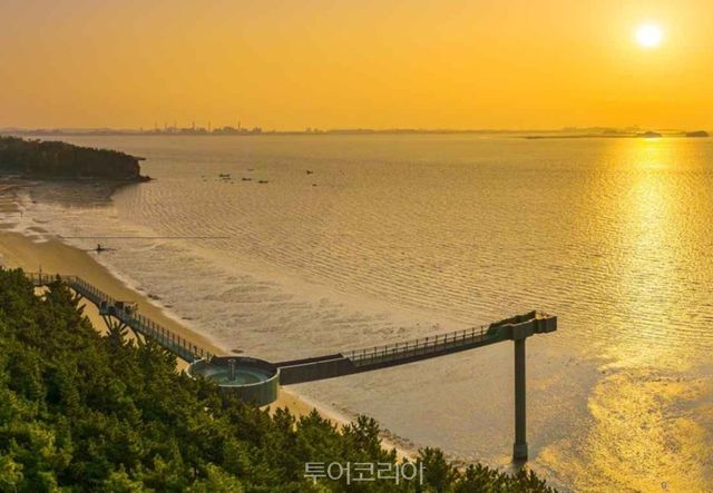 장항스카이워크 /사진-서천군