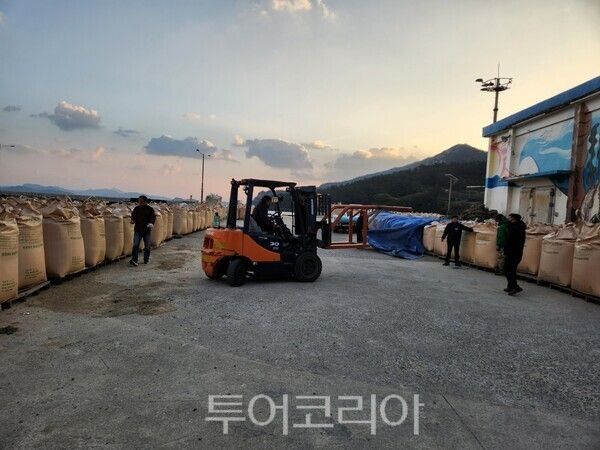 진도군은 2025년산 공공비축미 매입에서 특등 비율 전국 1위를 기록했다. /사진-진도군