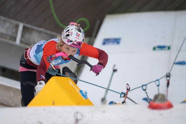 2025 청송월드컵 등반 모습/대한산악연맹 제공