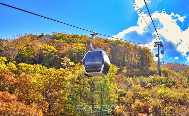 가리왕산 케이블카/사진-정선군