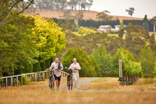 "2 피츠로이 폭포, 모튼 국립공원" "3 Centennial Vineyards (1)" "4 Bendooley Estate" "5 아도어 밀턴 파크 보랄 (1)" "6아도어 밀턴 파크 보랄 (2)" "7 아도어 밀턴 파크 보랄(3)" "1 Ardour Milton Park, Bowral" /사진-호주뉴사우스웨일즈주관광청
