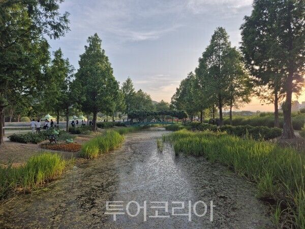 태화강국가정원 내에 있는 '모네의 정원'./사진-투어코리아 김교환 기자