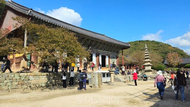고창 선운사/투어코리아
