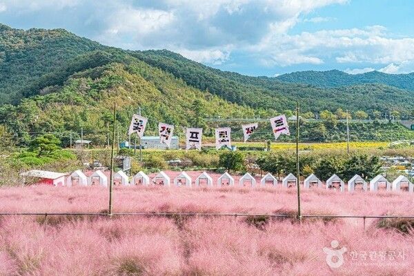 꽃객프로젝트 (출처=대한민국 구석구석)