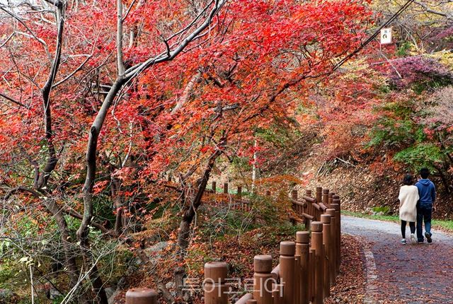단풍 아름다운 고창 문수사 가을 / 사진-고창군
