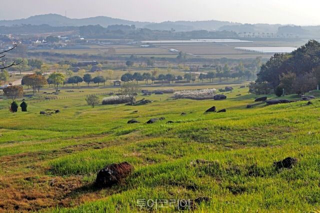 고창 고인돌유적지 /사진-한국관광공사