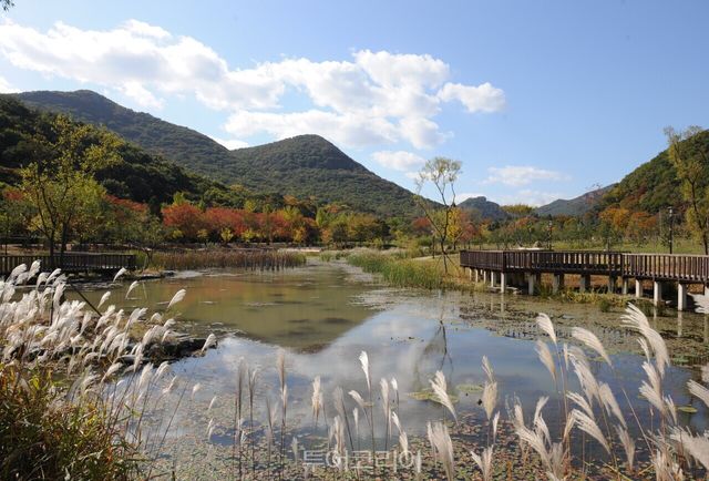 고창선운산 /사진-고창군