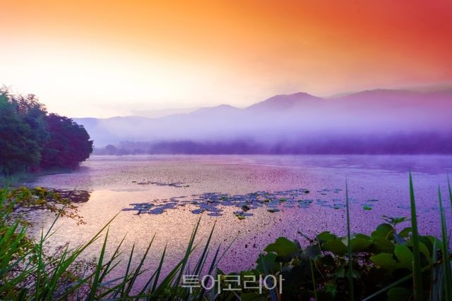 고창 운곡람사르습지 /사진-고창군