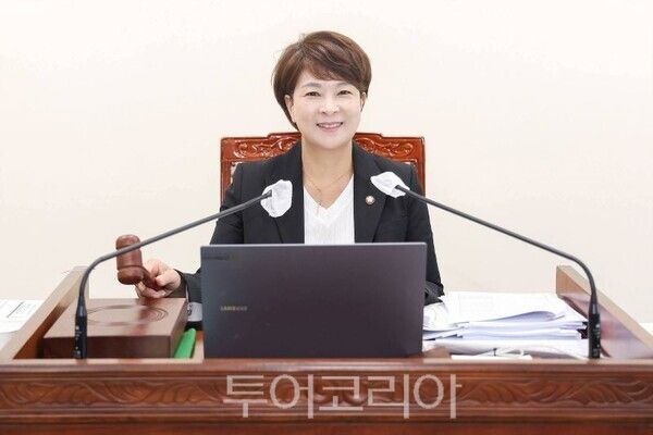 장예선 고양시의회 예산결산위원장/투어코리아뉴스 김경남 기자 사진=장예선SNS