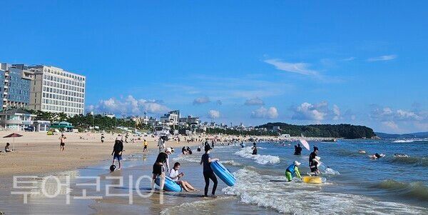 ▲대천해수욕장 전경.