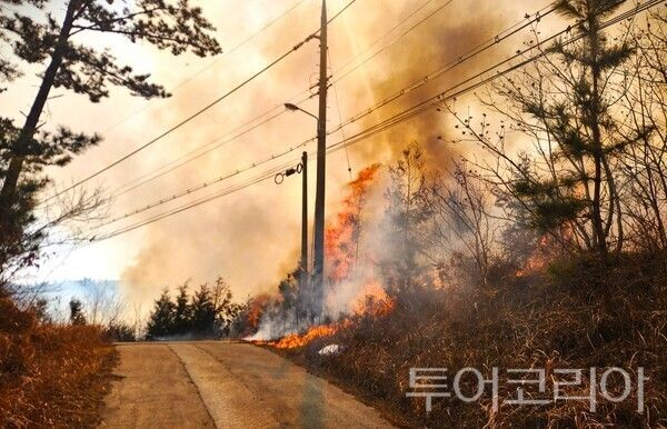 ▲지난해 3월께 발생한 이원면 산불 현장 모습. /사진-태안군