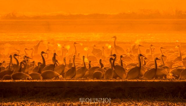 창원 주남저수지 /사진-창원시