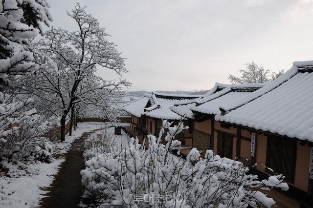추사고택 설경 덕산온천관광지 족욕장 내 예당호 출렁다리 / 사진-예산군