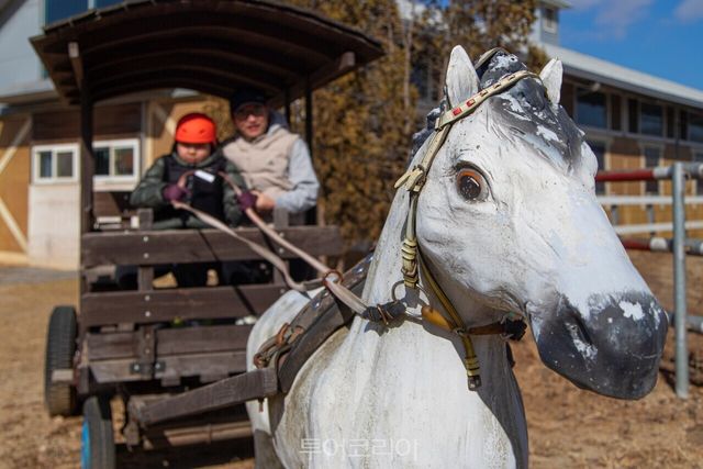 궁평캠프 &nbsp; / 사진－경기관광공사