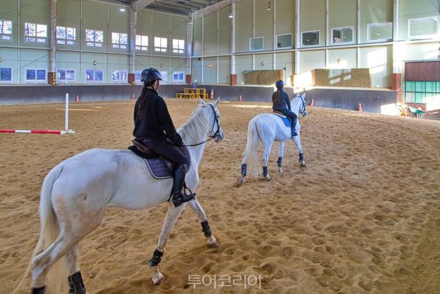"0안산 베르아델승마클럽-026" "0양평 곤들쌔들 승마클럽-037" / 사진－경기관광공사