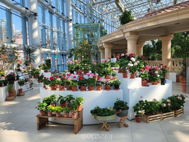 "1-7 수원박물관 전시" "1-4 광교호수공원 야경" "1-5제라늄 사진" "1-6사막 식물원" /사진－수원시