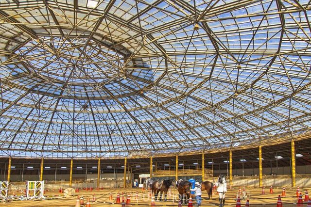 &nbsp;안산 베르아델승마클럽&nbsp; / 사진－경기관광공사