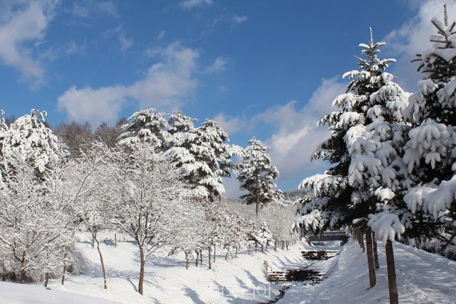 미동산수목원 /사진-충북도 제공