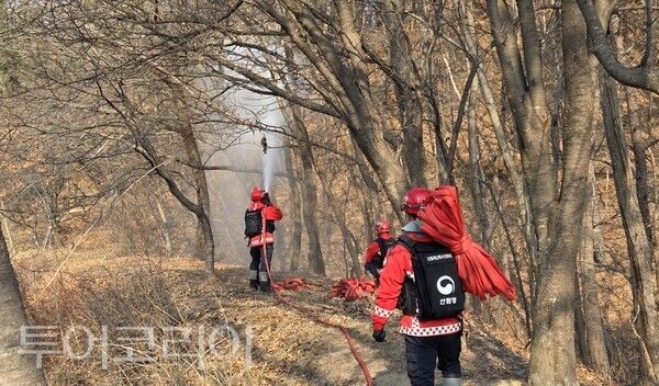 ▲산불진화 모의훈련 모습. /사진-중부지방산림청