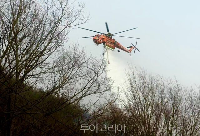 산림청 중앙산림재난상황실 제공