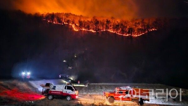 ▲예산군 대술면 야간 산불.