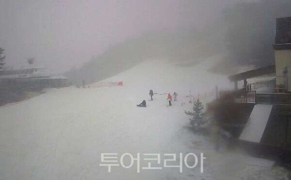눈 내리는 무주덕유산리조트 전경