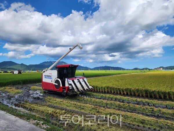 전남도가 올해 식량산업 분야 역대 최대 규모인 9천59억 원을 투입한다고 24일 밝혔다. /사진-전남도