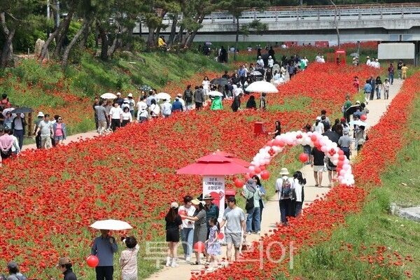 괴산빨간맛 페스티벌 모습. /사진-괴산군