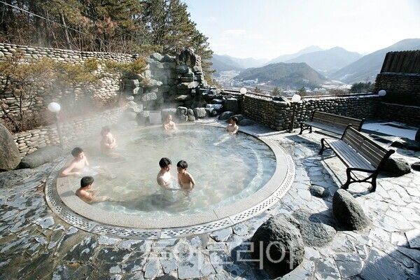 파크호텔 전경. /사진-충주시