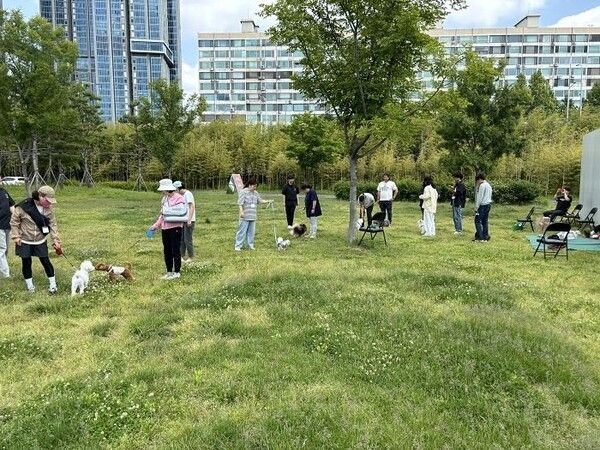 용산구 반려견 산책 교육 (사진제공=용산구청)