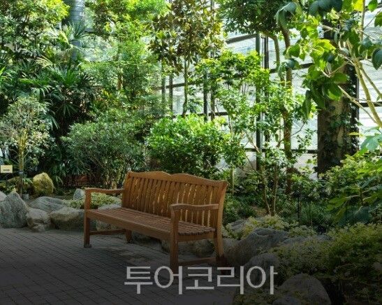 서울식물원 온대관/사진=서울대공원