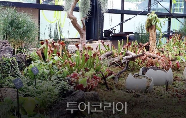 식충식물관/사진=서울대공원