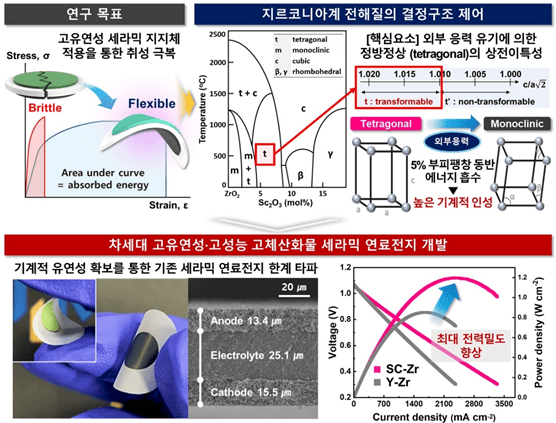 연구 모식도 및 연구결과