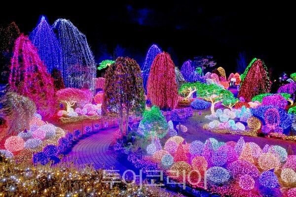 아침고요수목원 '오색별빛정원전'/사진-아침고요수목원