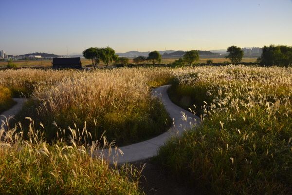 갯골생태공원. 사진=시흥시