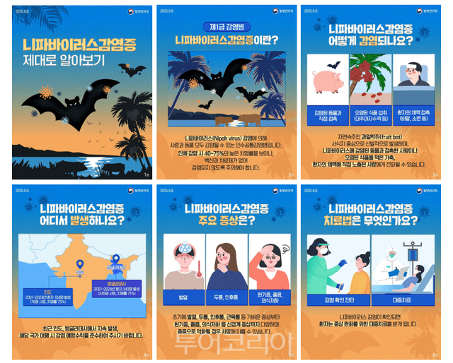 니파바이러스감염증 카드뉴스/그래픽-질병관리청