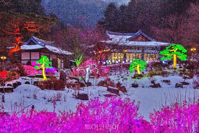 사진-아침고요수목원