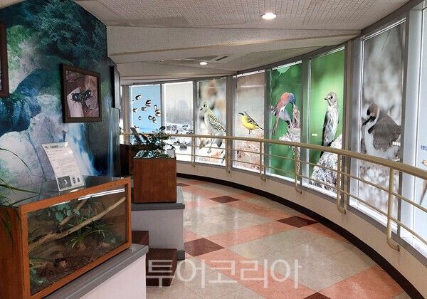 금강미래체험관. /사진-군산시