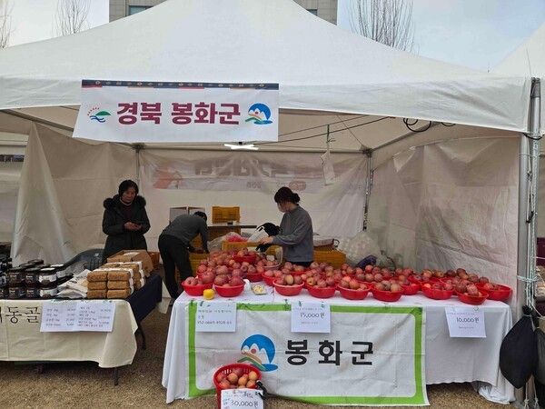 서울 강동구에서 열린 설맞이 직거래 장터에서 봉화사과를 선보이고 있다./사진-봉화군