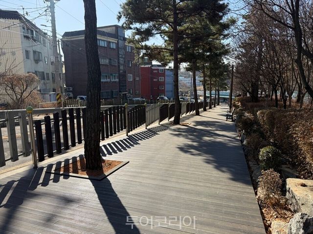 깔끔하게 단장된 솔숲공원 산책로/사진=시흥시