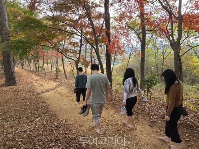 관주산 산책로&nbsp;/사진=보성군