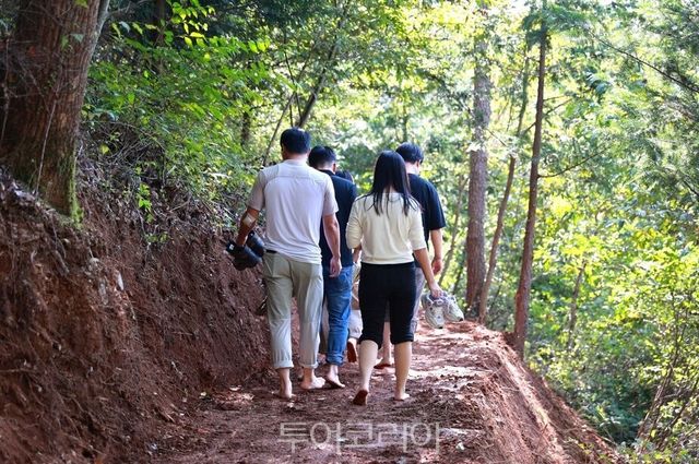 보성읍 망제산에 조성한&nbsp; 황토맨발 산책로&nbsp;/사진=보성군